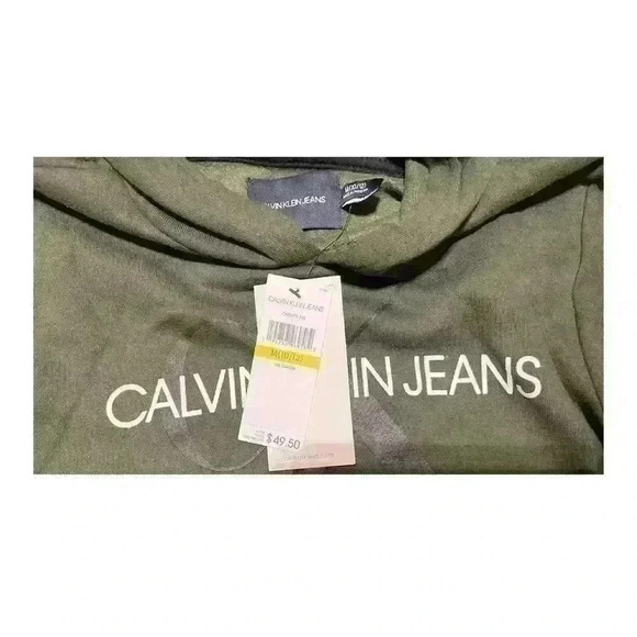 Calvin Klein Big Boys Old School Logo Pullover Hoodie Sequoia M(10/12) - Picture 8 of 9